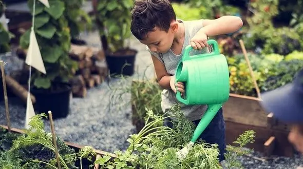  آموزش مهربانی، مسئولیت پذیری و مهارت تفکر با باغبانی به کودکان