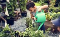  آموزش مهربانی، مسئولیت پذیری و مهارت تفکر با باغبانی به کودکان
