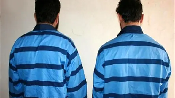 دستگیری دو سارق سابقه دار در کمیجان