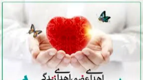 نجات 3 زندگی با تصمیم بزرگ نوجوان مشهدی؛ اهدای عضو