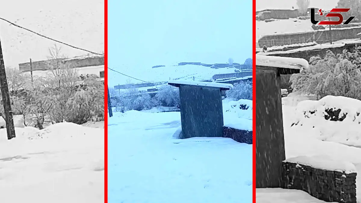 فیلم بارش شدید برف در منگورشرقی مهاباد