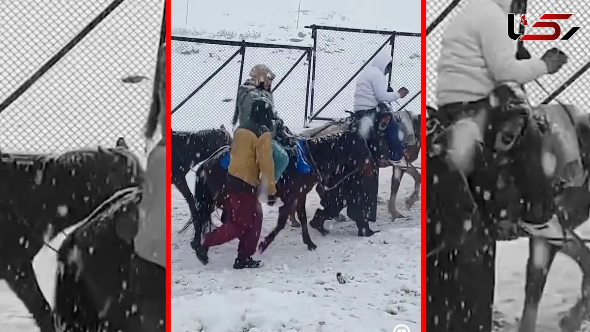 فیلم آغاز سردترین دوره زمستان در کشمیر