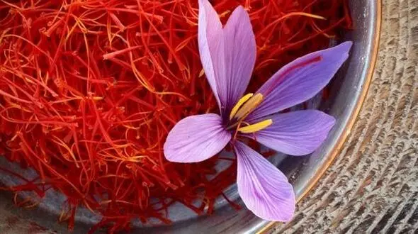 تاثیر زعفران در کاهش افسردگی