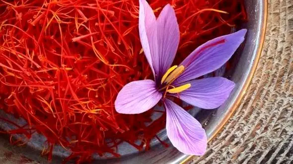 تاثیر زعفران در کاهش افسردگی