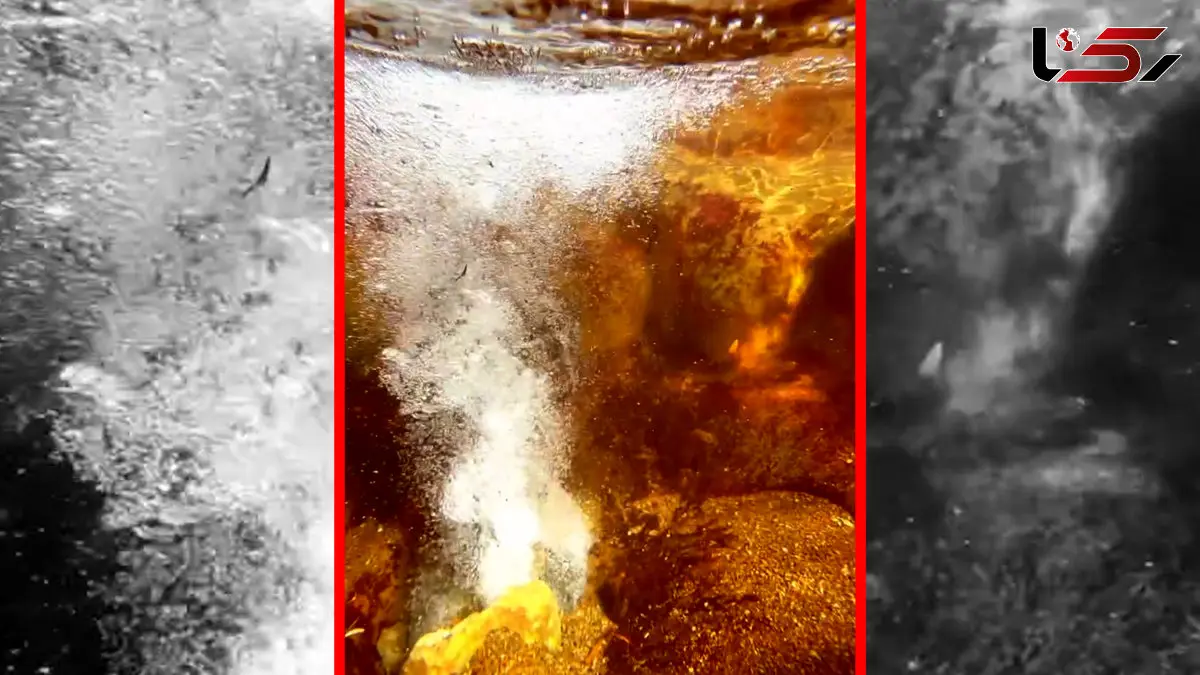 فیلم طبیعت بکر چشمه گراوان