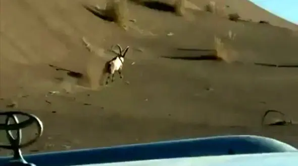 خاطیان آفرود سوار کویر مرنجاب پای میز محاکمه