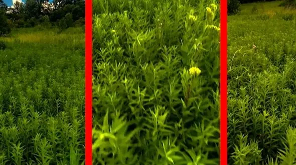 رویاهایت منتظر تو هستند