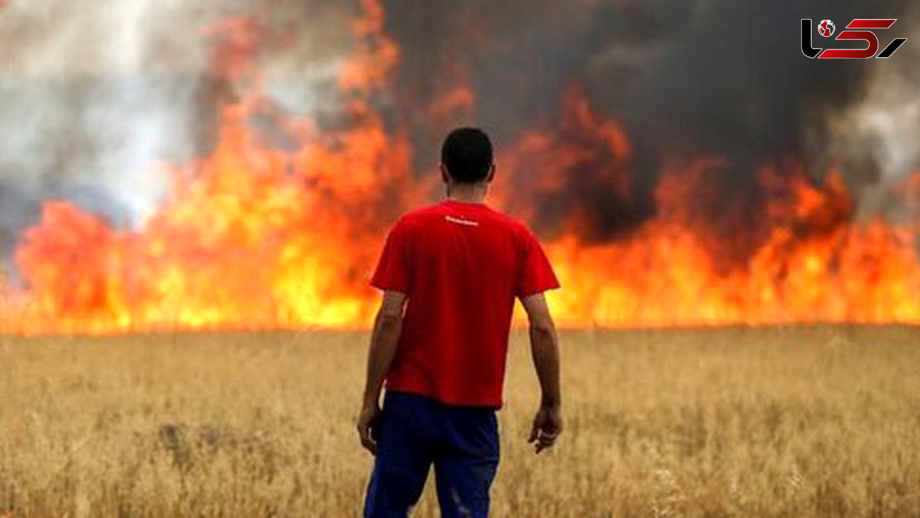 آتش به جان 35 هکتار اراضی کشاورزی در ایلام 