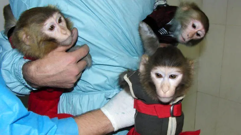 میمون فضا نورد ایرانی1