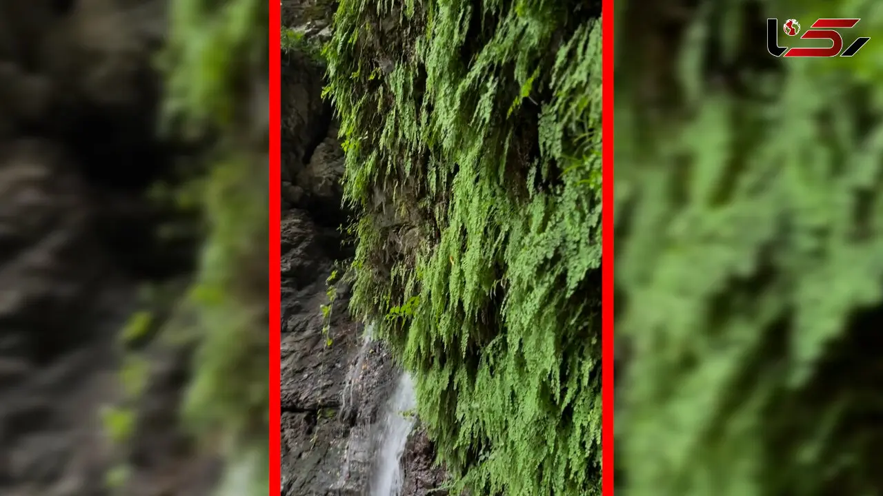 فیلم آبشار دودوزن / جواهری طبیعی در گیلان