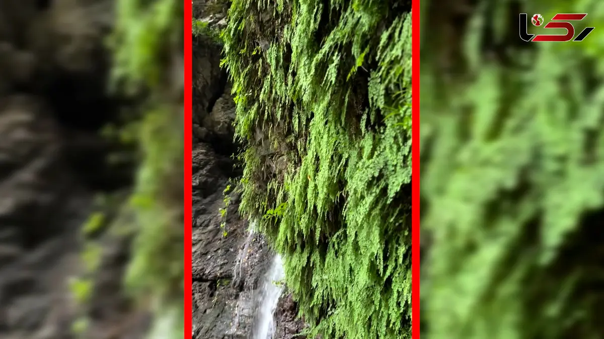 فیلم آبشار دودوزن / جواهری طبیعی در گیلان