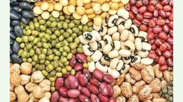 قیمت حبوبات پایان مرداد کاهشی می شود