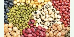 قیمت لوبیا چیتی اعلام شد