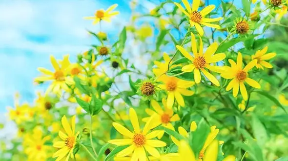 فال روزانه شخصی/ 16 شهریور + فیلم