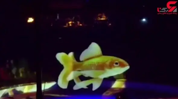 اقدام جالب سیرک آلمان برای استفاده نکردن از حیوانات + فیلم