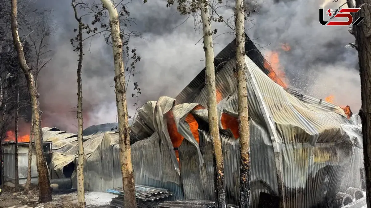 آخرین جزئیات حریق کارخانه چسب اقدسیه چهارباغ