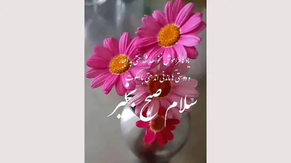 فال روزانه شخصی / 18 شهریور ماه + فیلم