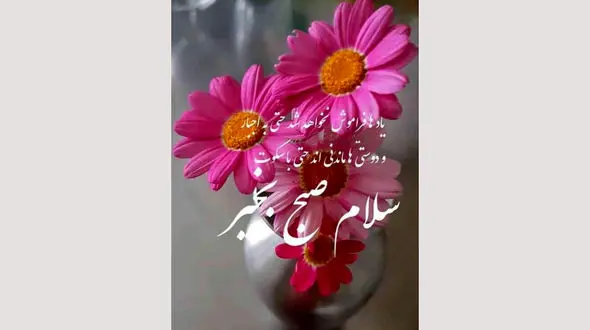 فال روزانه شخصی / 18 شهریور ماه + فیلم