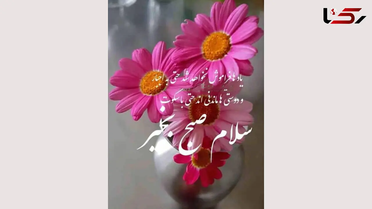 فال روزانه شخصی / 18 شهریور ماه + فیلم