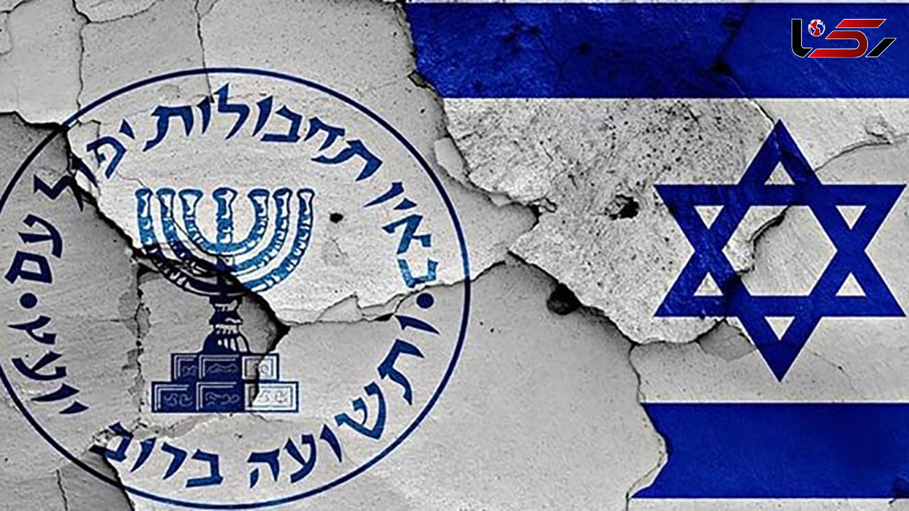 رسانه عبری: نظریه «خانه عنکبوت» نصرالله درست بود، اسرائیل در حال فروپاشی است