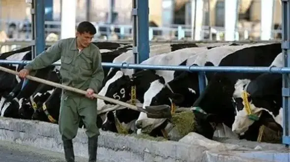 مرگ دلخراش کارگر دامداری بر اثر برق گرفتگی