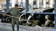 مرگ دلخراش کارگر دامداری بر اثر برق گرفتگی
