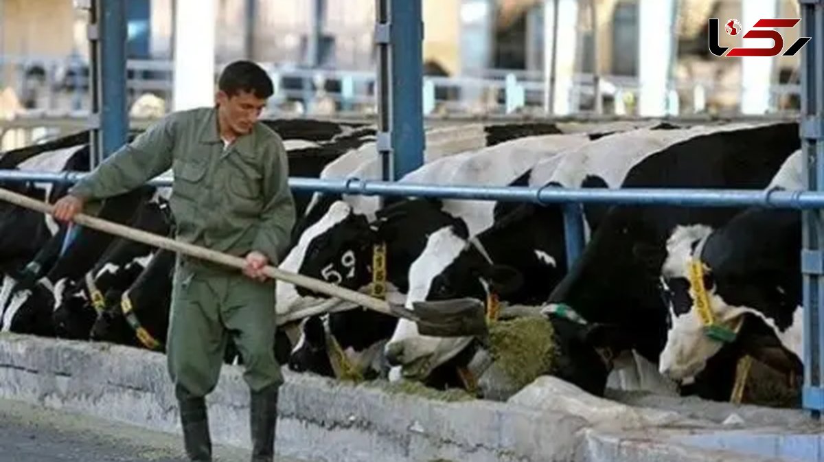 مرگ دلخراش کارگر دامداری بر اثر برق گرفتگی