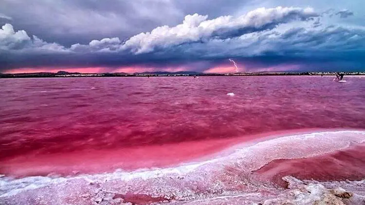 رازگشایی از جسد زنانه در دریاچه مهارلو شیراز / به خاطر طلاهایش او را کشتم ...