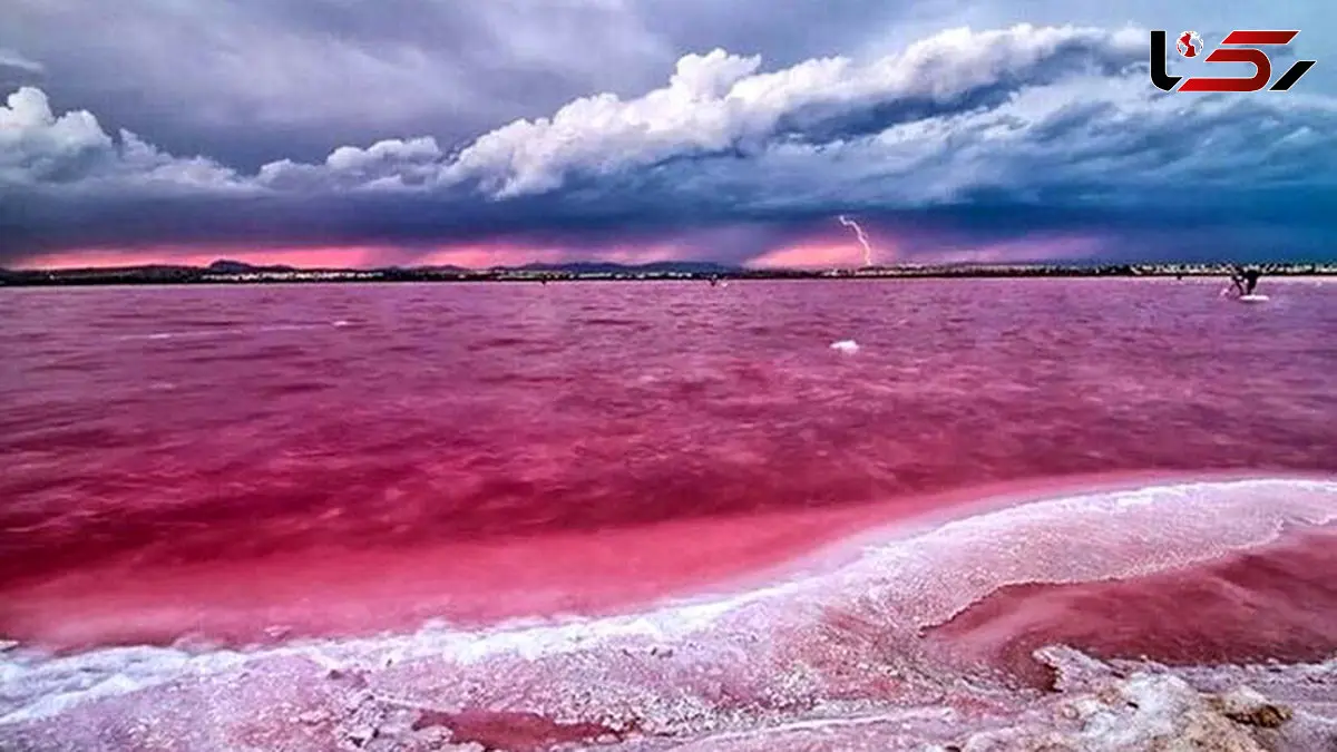 رازگشایی از جسد زنانه در دریاچه مهارلو شیراز / به خاطر طلاهایش او را کشتم ...