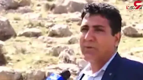 نجات گرگ ایرانی از مرگ + فیلم 