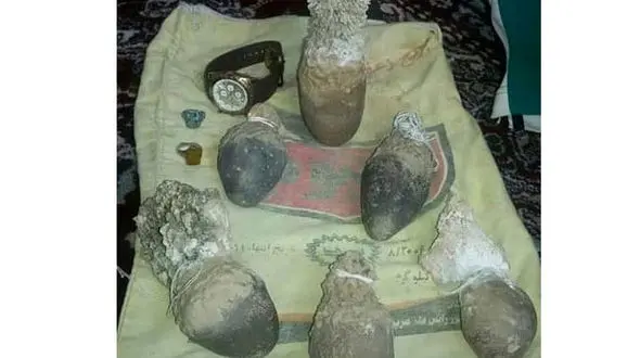 لانه خفاش، حقایق و افسانه ها ، یکبار برای همیشه +فیلم