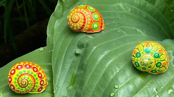 فال ابجد امروز / 16 خرداد + فیلم