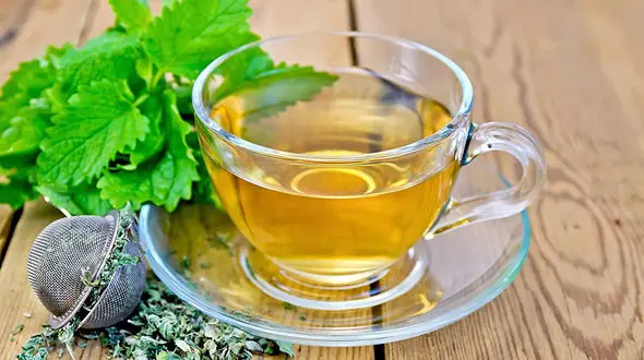 گیاهانی که مشکل بی خوابی را حل کرده اند