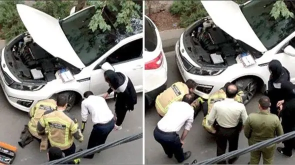 پلیس ناجا، آتش‌نشانی و مردم برای نجات گربه بدشانس بسیج شدند +عکس جالب 