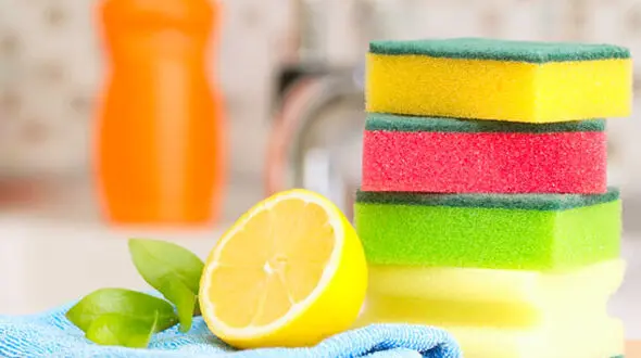 تکنیک های ناب برای داشتن خانه ای عاری از کثیفی 