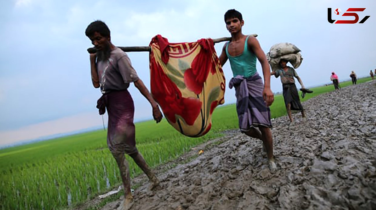 زنده‌سوزی مسلمانان میانمار و سکوت سنگین سازمان‎های بین‌المللی 