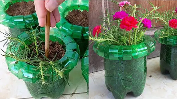 این گلدان ها با بطری های پلاستیکی ساخته شده + فیلم