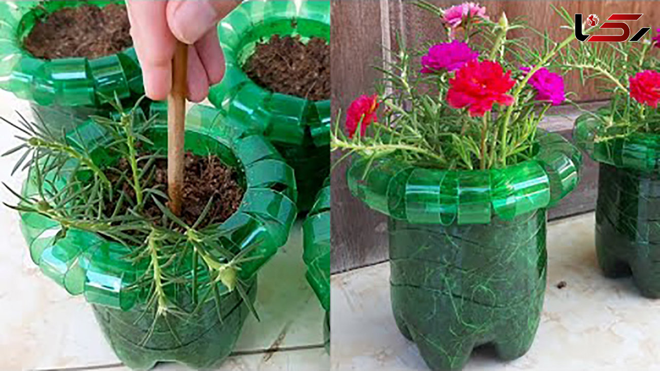 این گلدان ها با بطری های پلاستیکی ساخته شده + فیلم