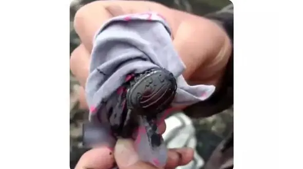 فیلم /  کشف انگشتر رییس جمهور در محل سقوط هلیکوپتر ! / هدیه رهبر انقلاب بود !