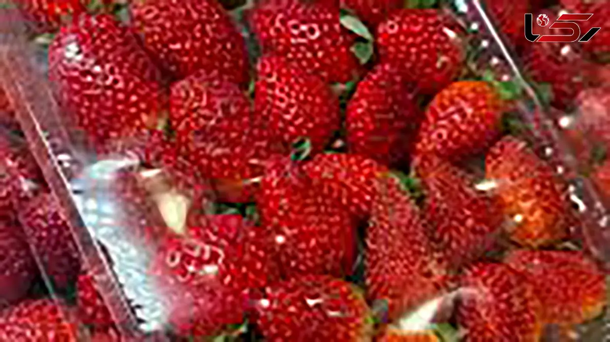 مهم‌ ترین فواید توت فرنگی / پاسخ به سوالات کاربران 