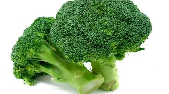 خواص کلم بروکلی برای سلامتی زنان مسن