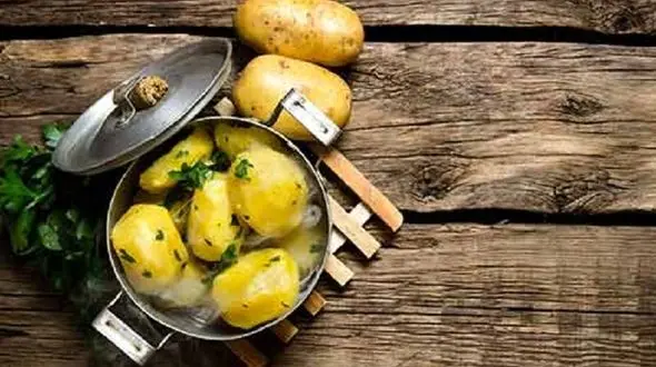 با سیرکننده های کم کالری خوش اندام بمانید