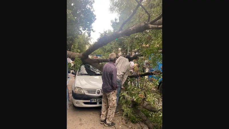 خسارت تندباد ۸۰ کیلومتری در بجنورد