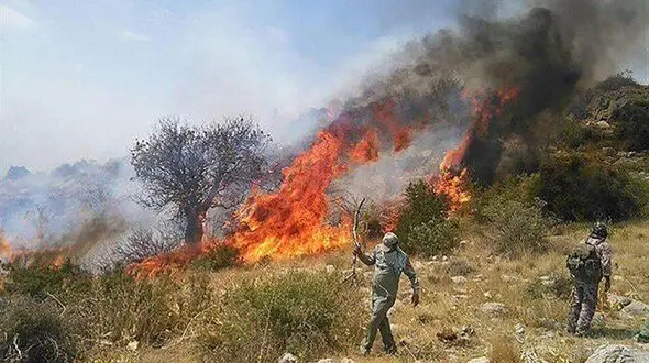 آتشی که جویندگان گیاه دارویی در فسا به پا کردند