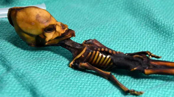 عکس یک موجود انسان‌نما را ببینید!