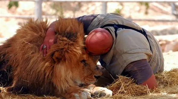 پیرترین شیر دنیا جان باخت+عکس