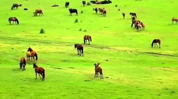 بلا تکلیفی طرح تفصیلی پارک ملی بوجاق 