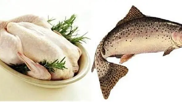 نرخ جدید مرغ و ماهی در بازار اعلام شد / نارضایتی مرغداران از روند کاهشی قیمت