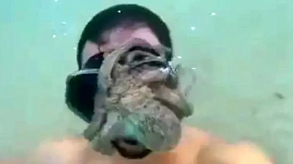 حمله عجیب هشت پا به یک غواص + فیلم و تصاویر