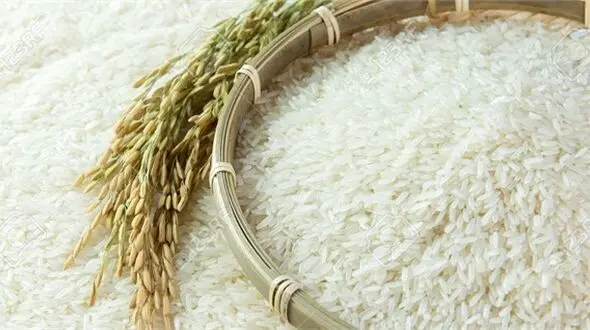 قیمت برنج رِی کرد